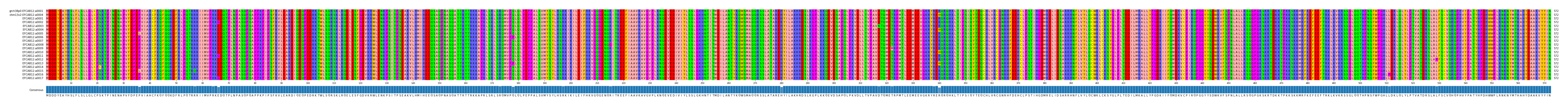 Multiple Alignments (by translate haplotype frequency)