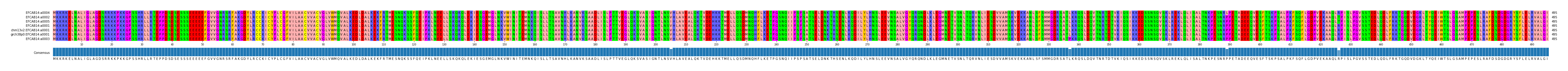 Multiple Alignments (by translate haplotype similarity)