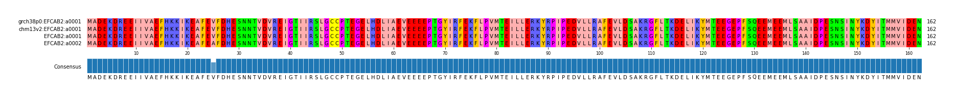 Multiple Alignments (by translate haplotype similarity)