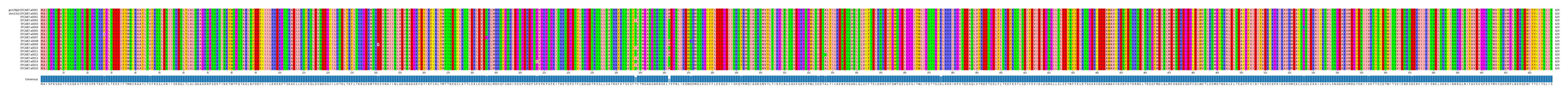 Multiple Alignments (by translate haplotype frequency)