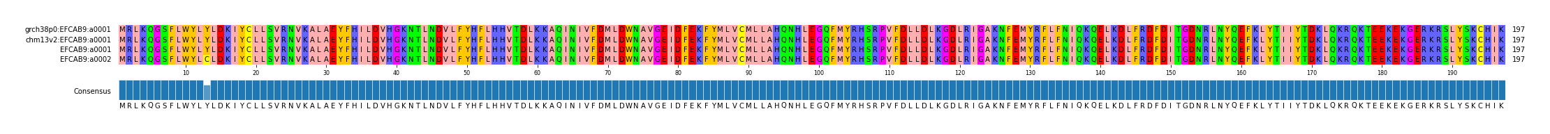 Multiple Alignments (by translate haplotype similarity)