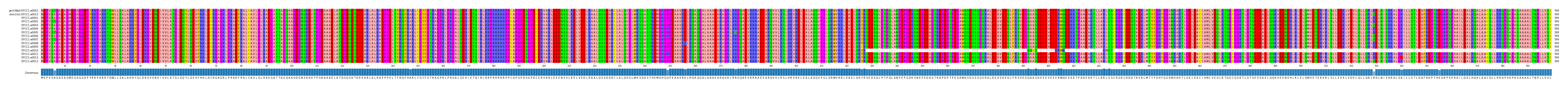 Multiple Alignments (by translate haplotype frequency)