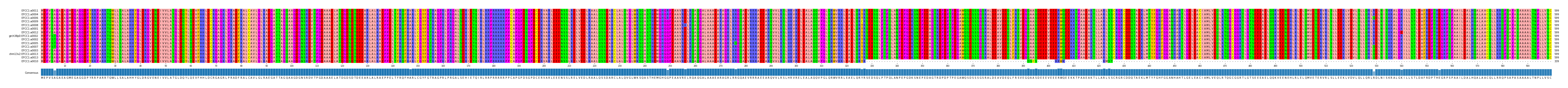 Multiple Alignments (by translate haplotype similarity)
