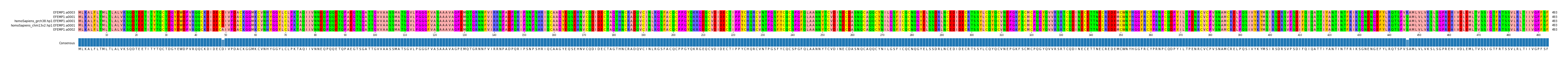 Multiple Alignments (by translate haplotype similarity)