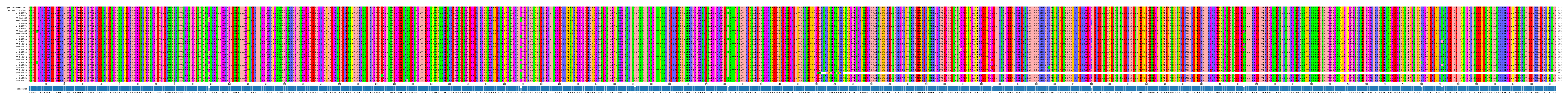 Multiple Alignments (by translate haplotype frequency)