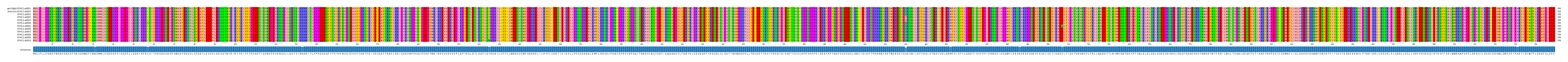 Multiple Alignments (by translate haplotype frequency)