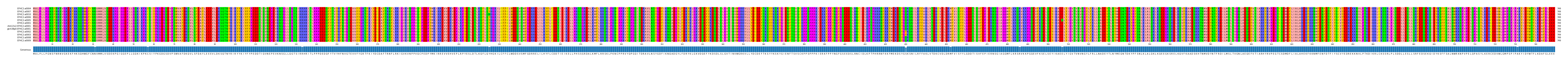 Multiple Alignments (by translate haplotype similarity)