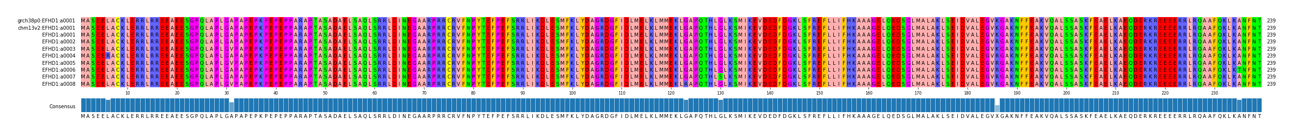 Multiple Alignments (by translate haplotype frequency)