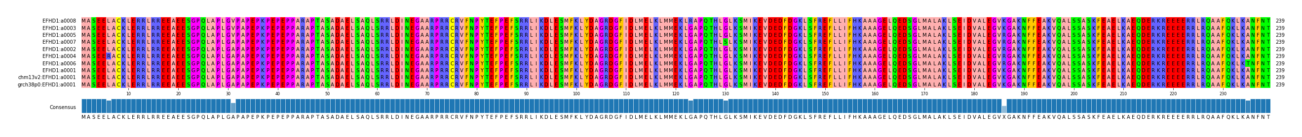 Multiple Alignments (by translate haplotype similarity)