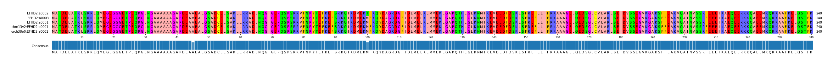 Multiple Alignments (by translate haplotype similarity)