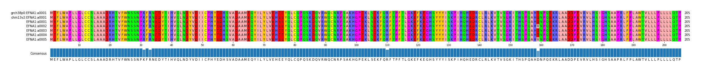 Multiple Alignments (by translate haplotype frequency)