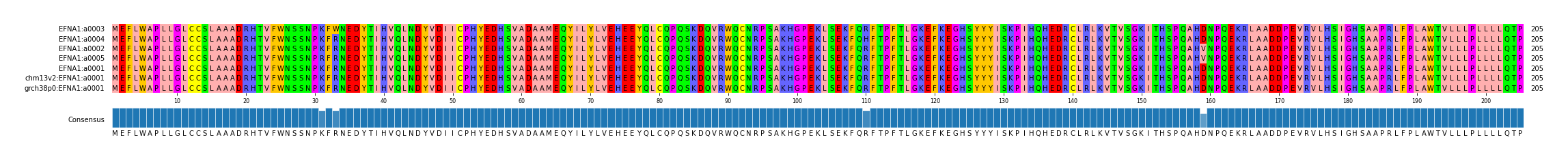 Multiple Alignments (by translate haplotype similarity)