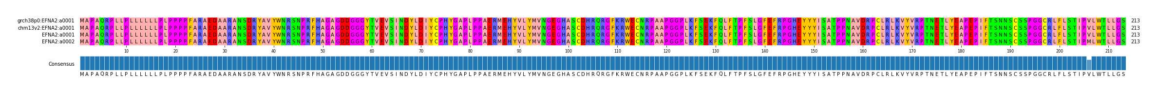 Multiple Alignments (by translate haplotype similarity)