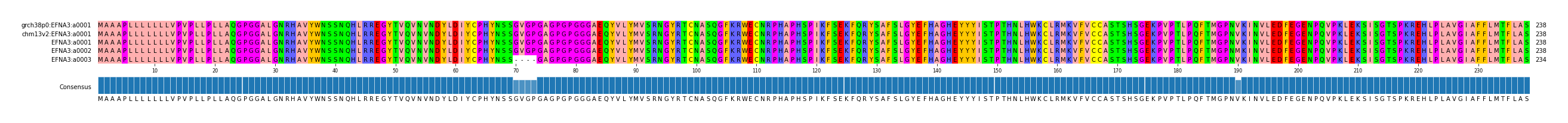 Multiple Alignments (by translate haplotype frequency)
