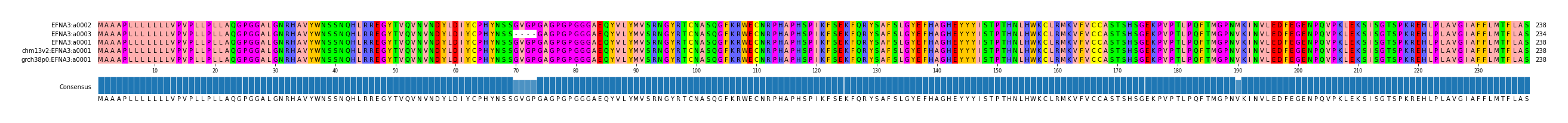 Multiple Alignments (by translate haplotype similarity)