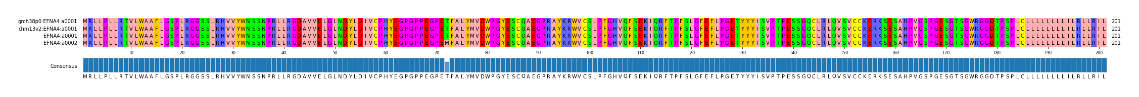 Multiple Alignments (by translate haplotype similarity)