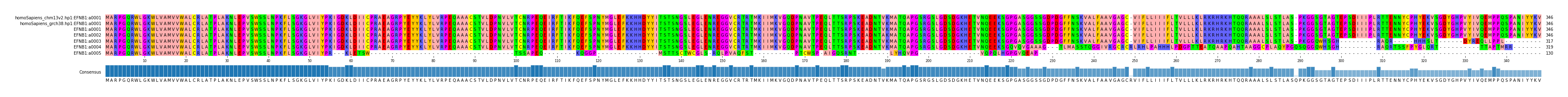 Multiple Alignments (by translate haplotype frequency)