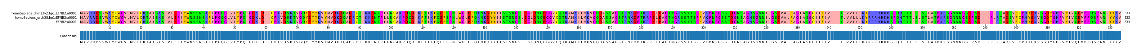 Multiple Alignments (by translate haplotype frequency)