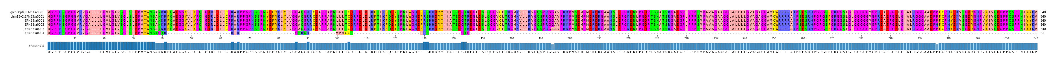 Multiple Alignments (by translate haplotype frequency)