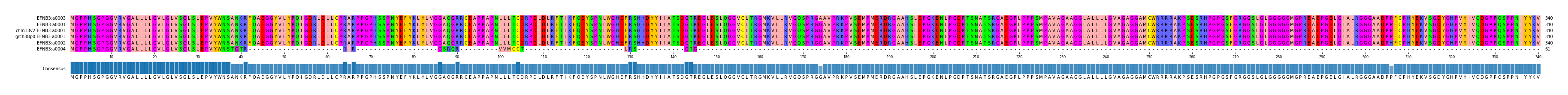 Multiple Alignments (by translate haplotype similarity)