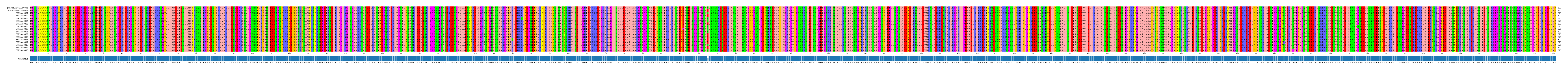 Multiple Alignments (by translate haplotype frequency)