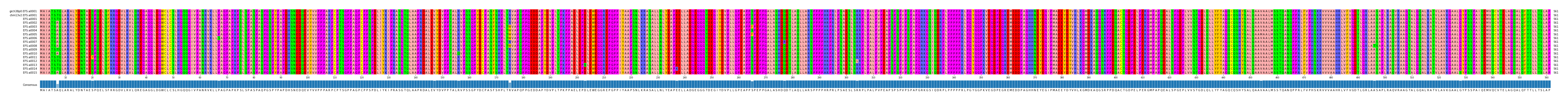 Multiple Alignments (by translate haplotype frequency)