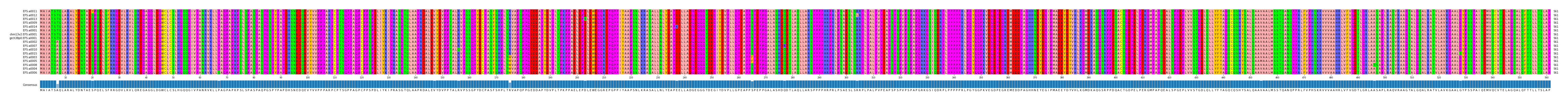 Multiple Alignments (by translate haplotype similarity)