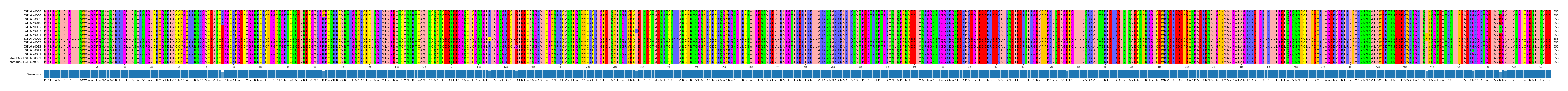 Multiple Alignments (by translate haplotype similarity)