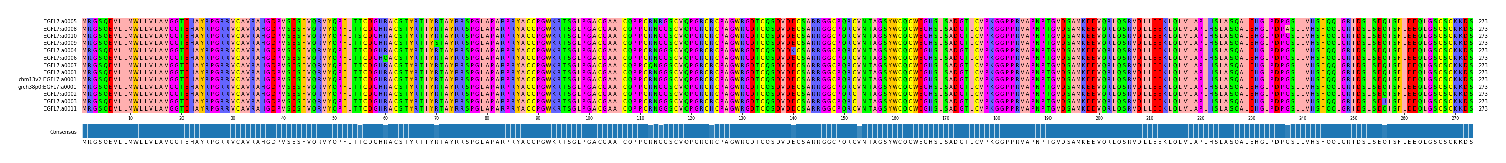 Multiple Alignments (by translate haplotype similarity)