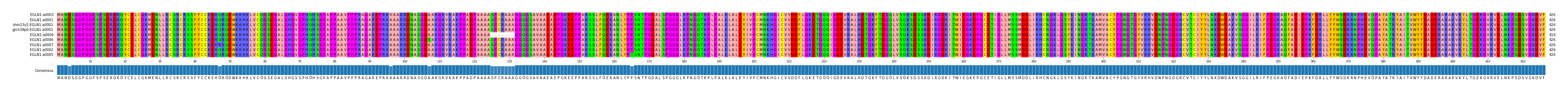 Multiple Alignments (by translate haplotype similarity)