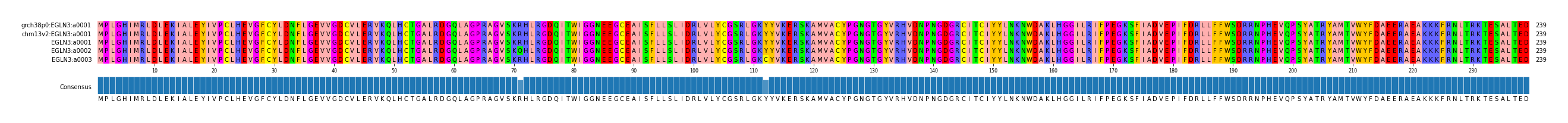 Multiple Alignments (by translate haplotype frequency)