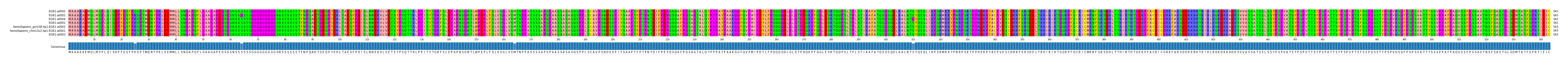 Multiple Alignments (by translate haplotype similarity)