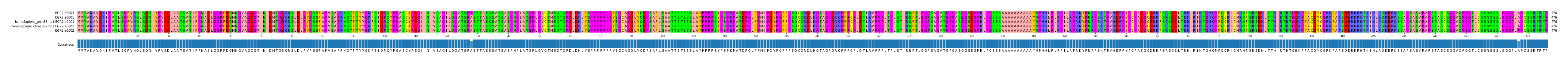 Multiple Alignments (by translate haplotype similarity)