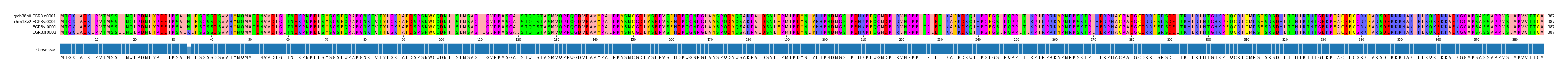 Multiple Alignments (by translate haplotype similarity)