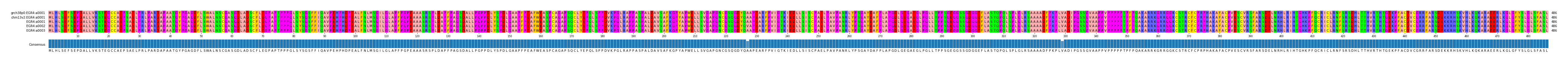 Multiple Alignments (by translate haplotype frequency)