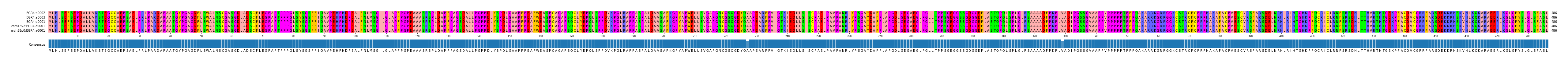 Multiple Alignments (by translate haplotype similarity)