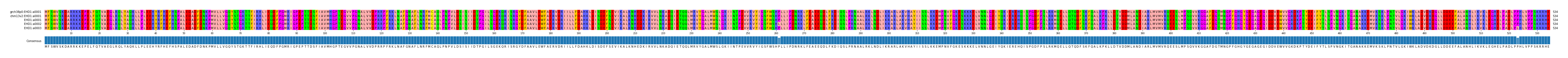 Multiple Alignments (by translate haplotype frequency)