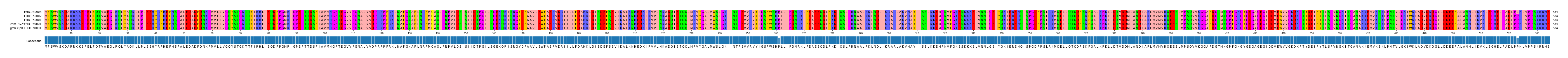 Multiple Alignments (by translate haplotype similarity)