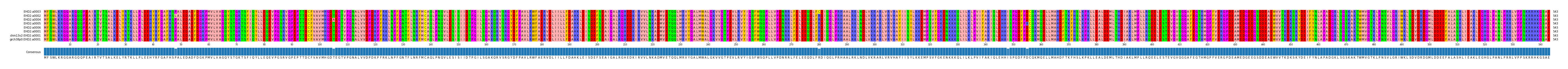 Multiple Alignments (by translate haplotype similarity)
