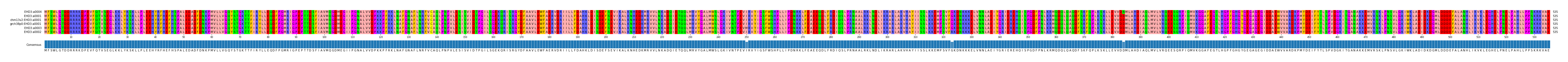 Multiple Alignments (by translate haplotype similarity)