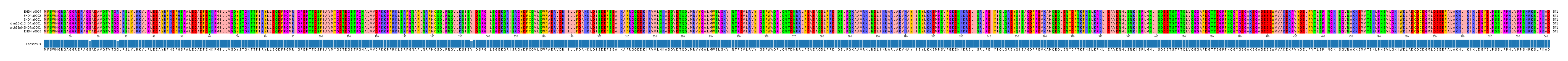 Multiple Alignments (by translate haplotype similarity)