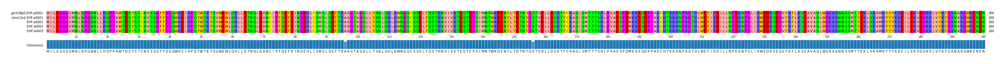 Multiple Alignments (by translate haplotype frequency)