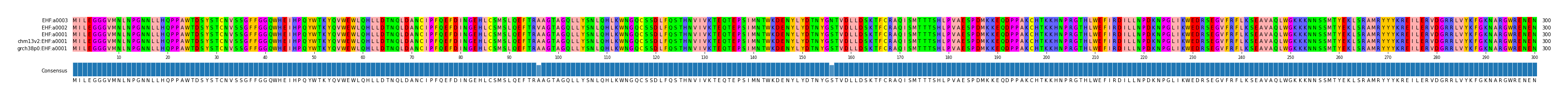 Multiple Alignments (by translate haplotype similarity)