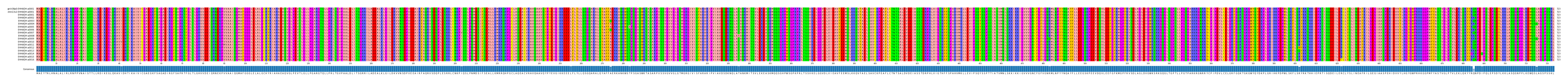 Multiple Alignments (by translate haplotype frequency)