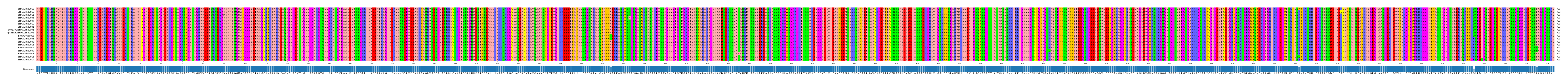 Multiple Alignments (by translate haplotype similarity)