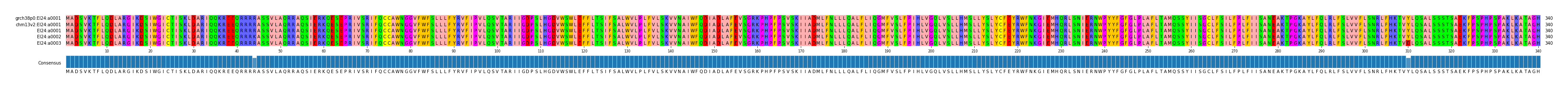 Multiple Alignments (by translate haplotype frequency)