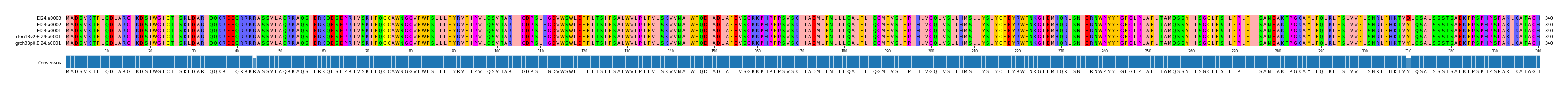 Multiple Alignments (by translate haplotype similarity)