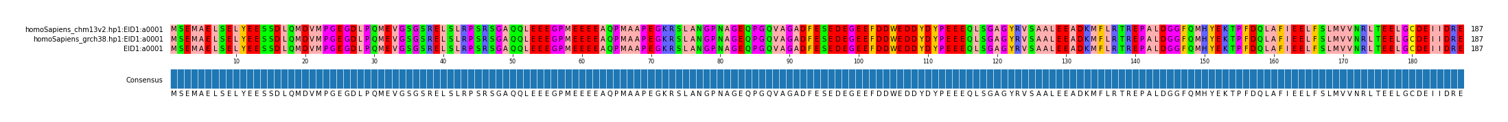 Multiple Alignments (by translate haplotype frequency)