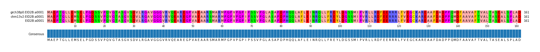 Multiple Alignments (by translate haplotype similarity)