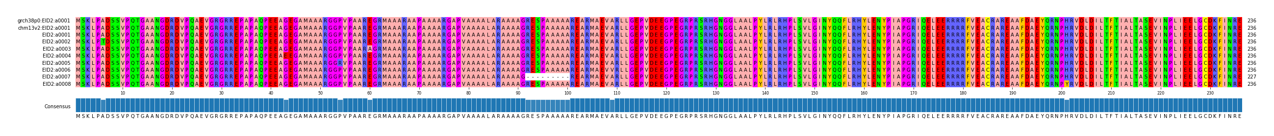 Multiple Alignments (by translate haplotype frequency)